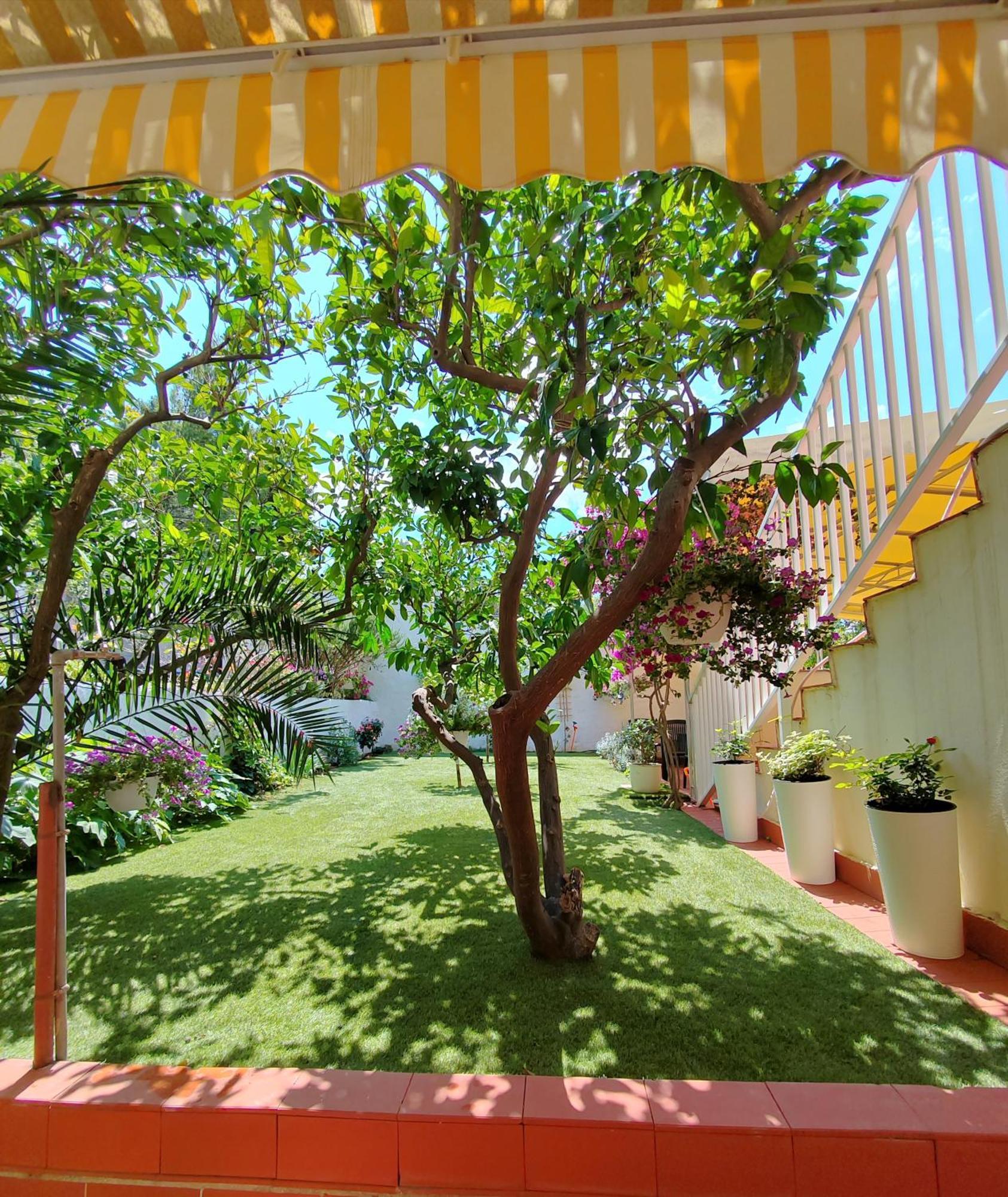 Apartments Gareta Carnac Ngoại thất bức ảnh